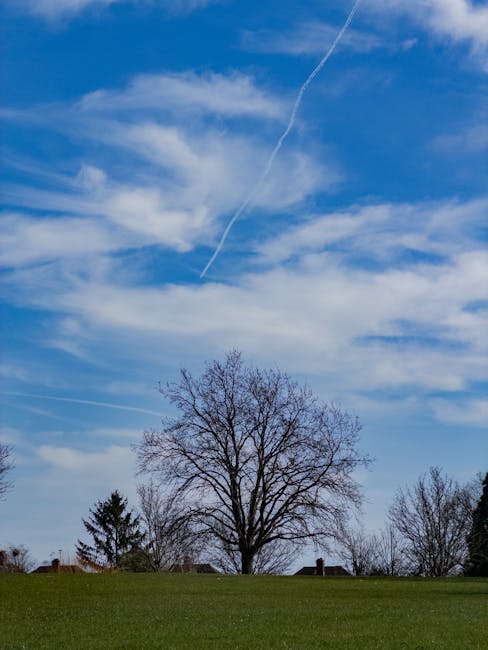 A clear blue sky with scattered white clouds and a visible contrail from an airplane in the upper part of the image. In the lower part, a leafless deciduous tree is situated in a grassy area, with other smaller trees and rooftops of houses visible in the background. The scene is taken outdoors during daytime, showing a calm, natural environment. This image is relevant to house removals and home relocation services provided by Man with Van Pinner, illustrating an outdoor setting where loading and transportation activities might take place.